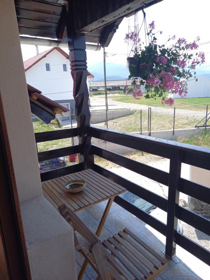 Casa Loredana Cartisoara Luaran gambar
