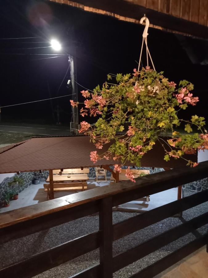 Casa Loredana Cartisoara Luaran gambar