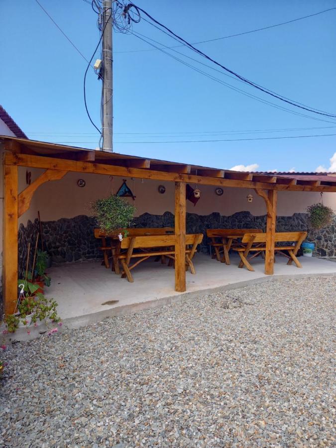 Casa Loredana Cartisoara Luaran gambar
