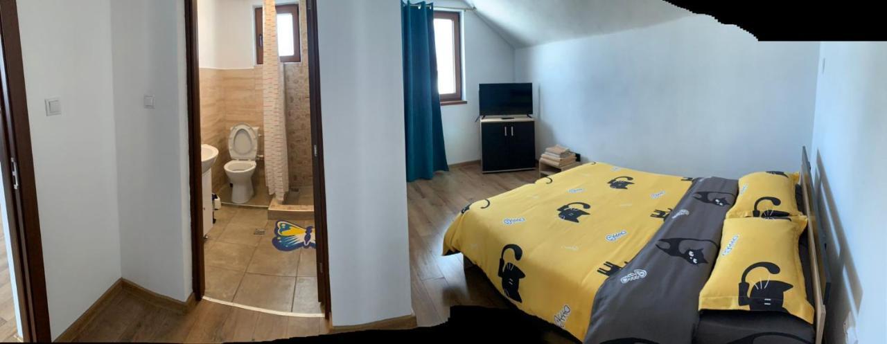 Casa Loredana Cartisoara Luaran gambar