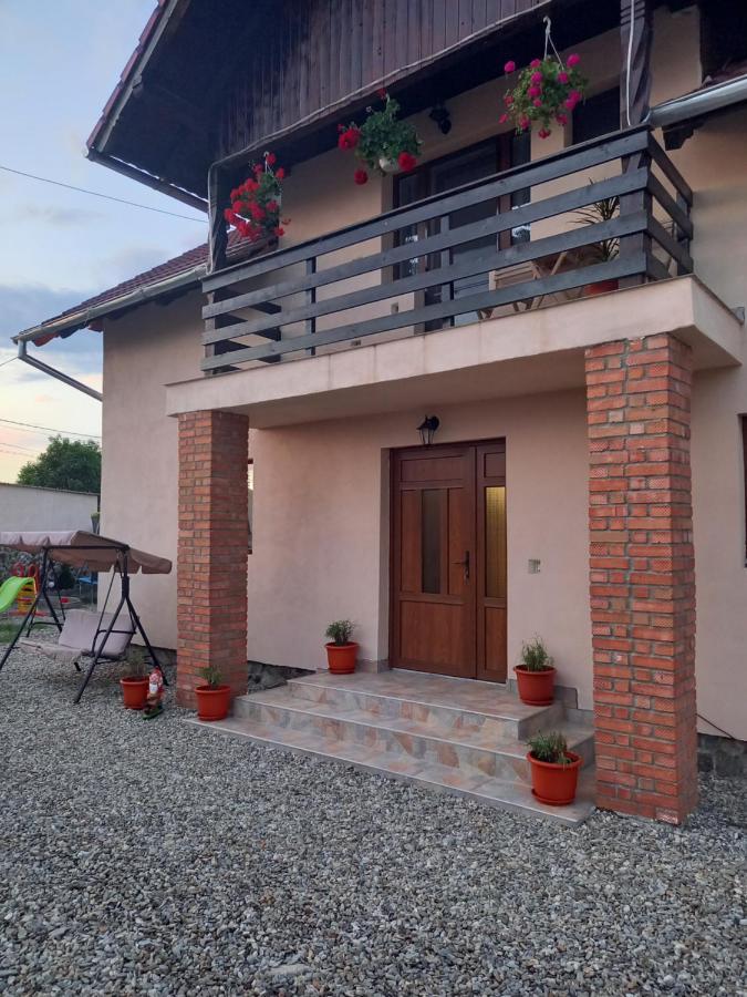 Casa Loredana Cartisoara Luaran gambar